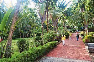 A day in the Ashram